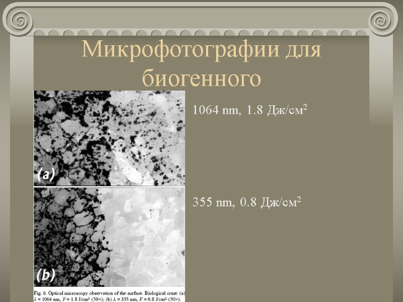 Микрофотографии для биогенного 1064 nm, 1.8 Дж/см2 355 nm, 0.8 Дж/см2